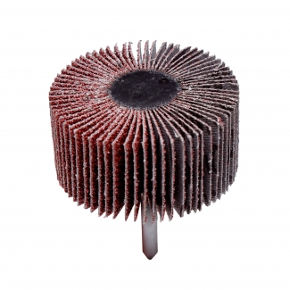 ŚCIERNICA LISTKOWA...