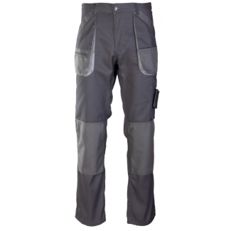 SPODNIE DO PASA BRIXTON...