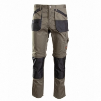 SPODNIE DO PASA BRIXTON...