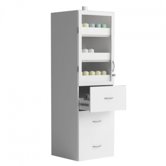 Szafa laboratoryjna do...